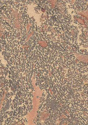 Тарханов Михаил Михайлович. Три композиции эбру в красно-бежевых тонах 